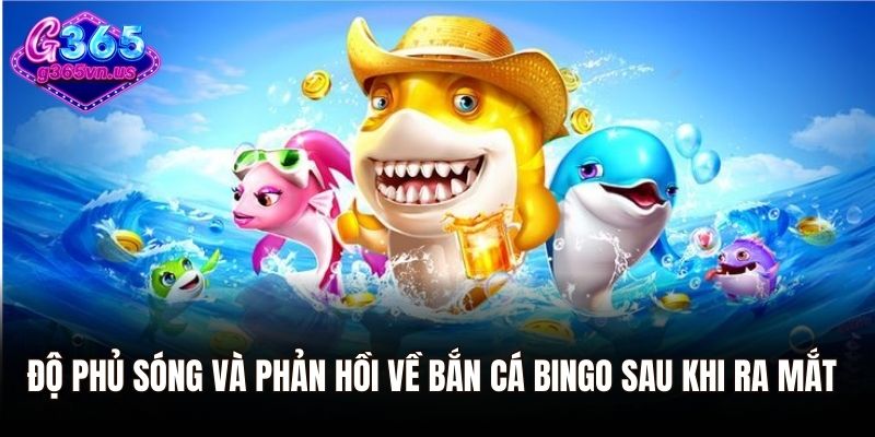 Độ phủ sóng và phản hồi về bắn cá Bingo sau khi ra mắt