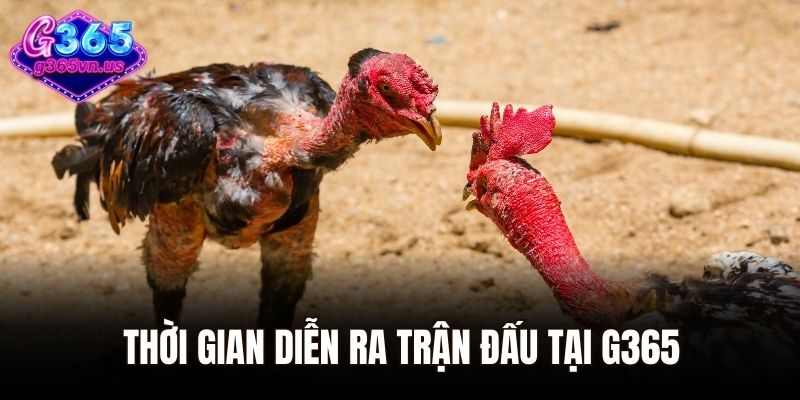 Thời gian diễn ra trận đấu tại G365