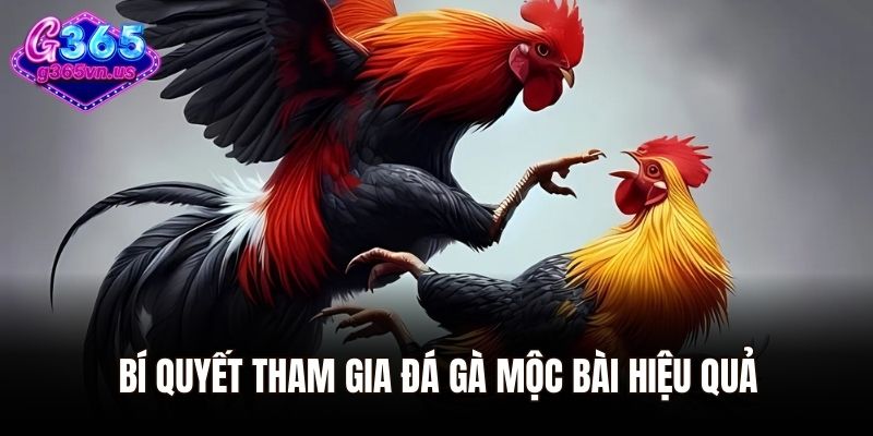 Bí quyết tham gia đá gà Mộc Bài hiệu quả