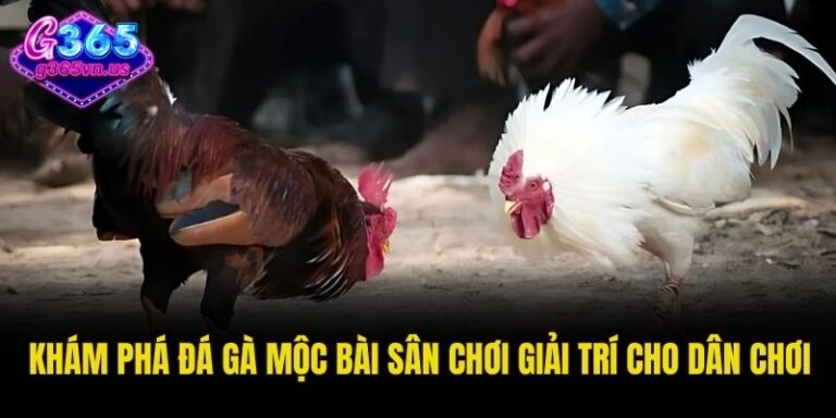 Đá gà Mộc Bài