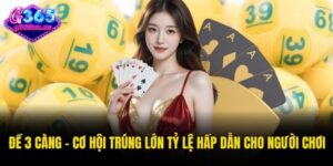 Đề 3 càng