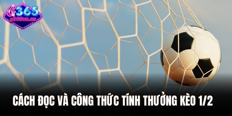 Cách đọc và công thức tính thưởng kèo 1/2 cần nắm