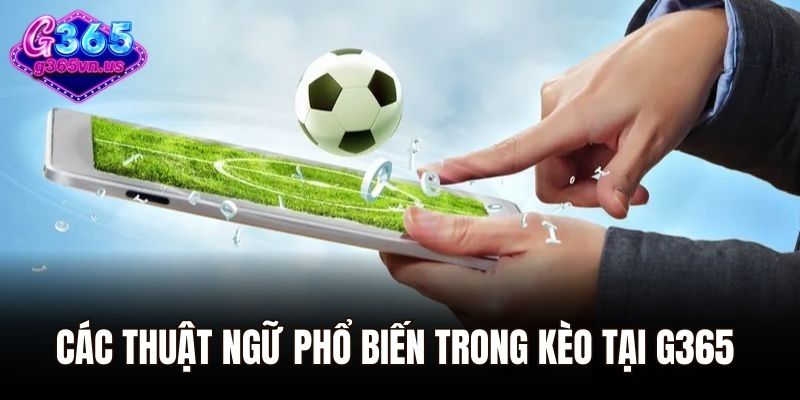 Các thuật ngữ phổ biến trong kèo tại G365