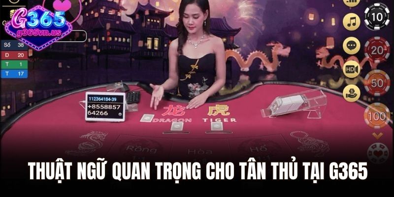 Thuật ngữ quan trọng cho tân thủ tại G365