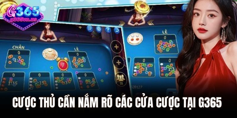 Cược thủ cần nắm rõ các cửa cược tại G365