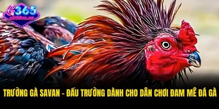 Thuật ngữ đá gà