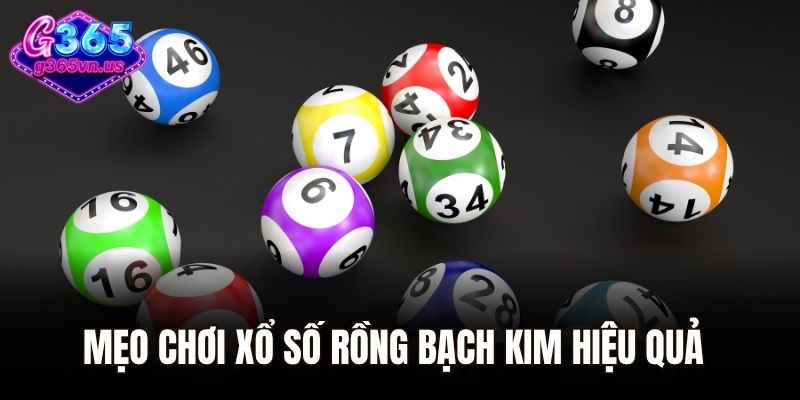 Mẹo chơi xổ số Rồng Bạch Kim hiệu quả